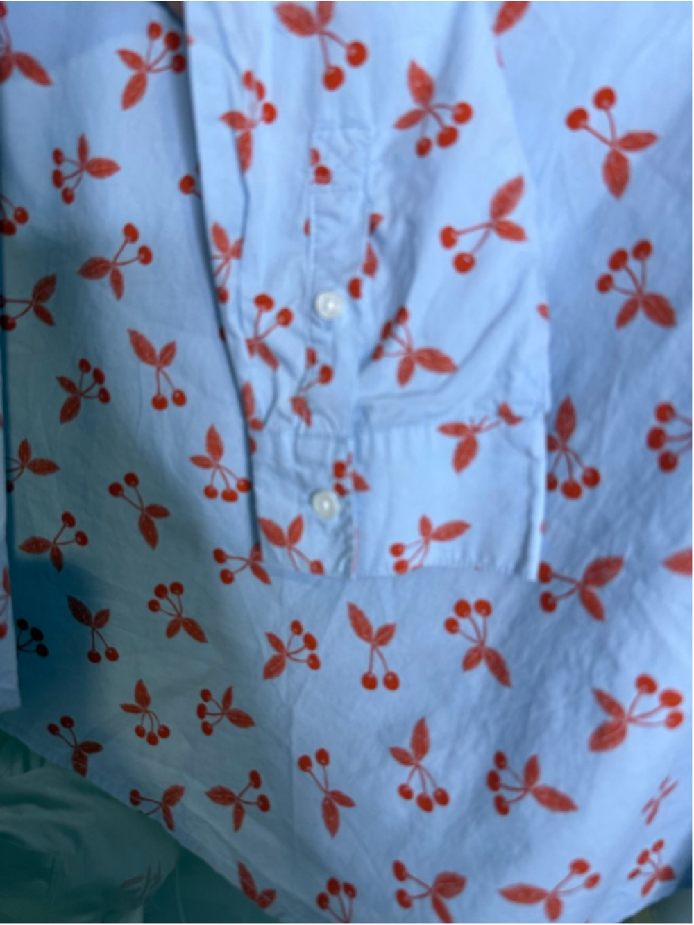 Boden "The Classic Shirt” Light Blue Red Cherry Print Button Down Shirt Size 12 - Picture 5 of 7